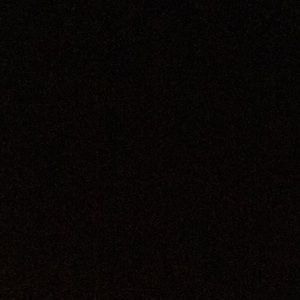 Meet your Posher, Bella